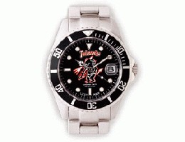 /TEDDY'S WATCH