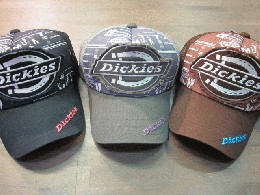 /Dickies�i�ި����ށjƭ���߰�߰�����