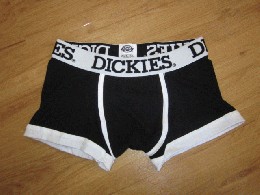 /Dickies fBbL[Y@Y{NT[pc