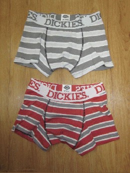 /Dickies fBbL[Y@Y{NT[pc Ch{[_[