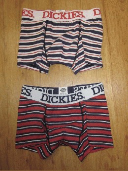 /Dickies fBbL[Y@Y{NT[pc }{[_[