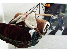 /�f�R���e�B�u�@�~�j�n�����b�N