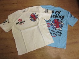 /TEDMAN�@����T�V���c�y�T�[�t�B���zTDSS-461